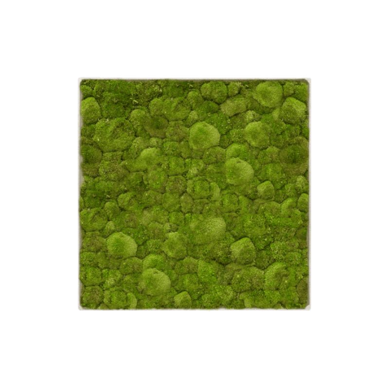 MuffleMoss | Square Wall Panel - Bun