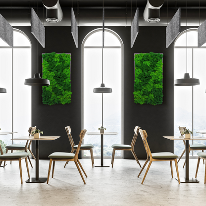 MuffleTone | Baffle (Sold in Packs)