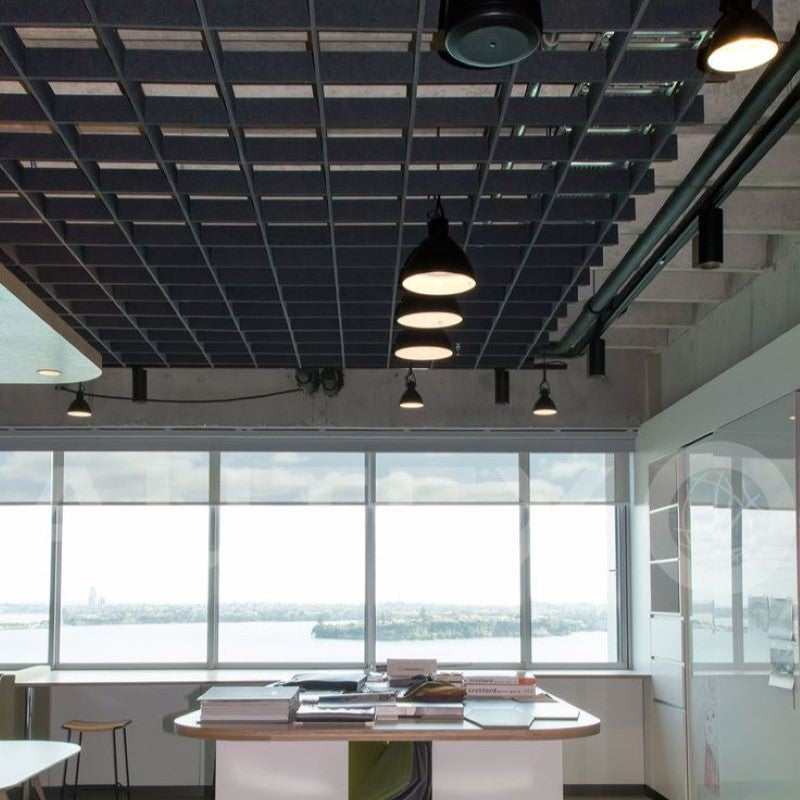 Autex | Frontier™ Axis Acoustic Ceiling Baffle (Pack of 16)