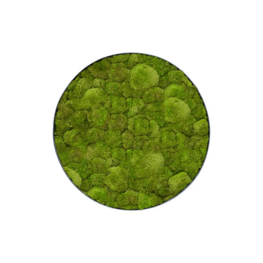 MuffleMoss | Circle Wall Panel - Bun