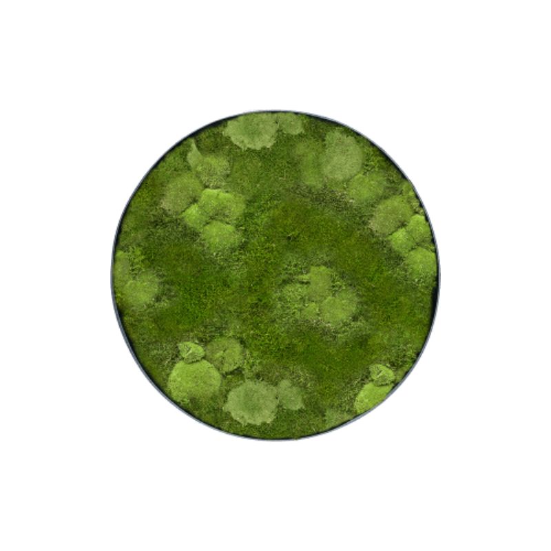 MuffleMoss | Circle Wall Panel - Bun & Woodland