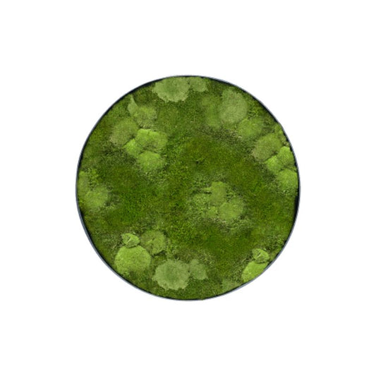 MuffleMoss | Circle Wall Panel - Bun & Woodland