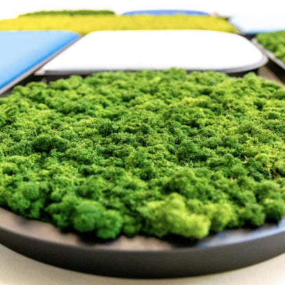 BuzziSpace BuzziMood Acoustic Moss & Upholstered Wall Panels