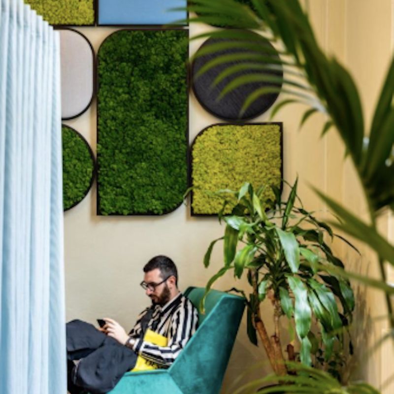 BuzziSpace BuzziMood Acoustic Moss & Upholstered Wall Panels