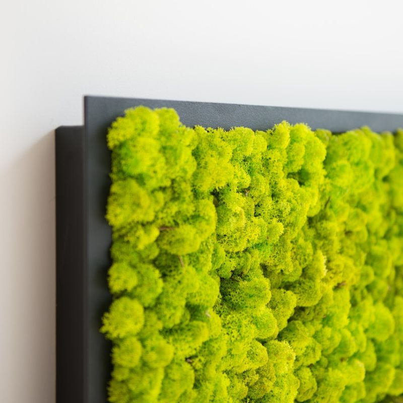 BuzziSpace BuzziMood Acoustic Moss & Upholstered Wall Panels