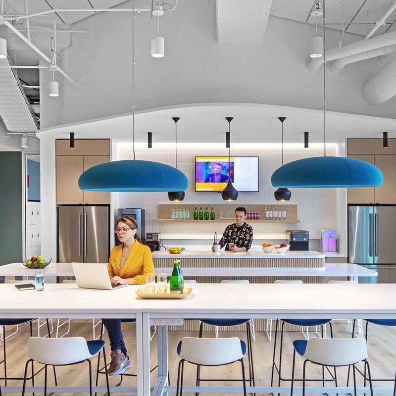 BuzziSpace BuzziDome Acoustic Pendant Light - Muffle Acoustics Limited