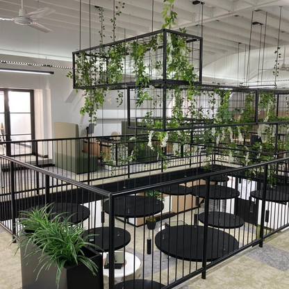 MuffleTone | Raft - Circle (Sold in Packs)