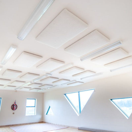 The Woolly Shepherd | Wellington Acoustic Panel