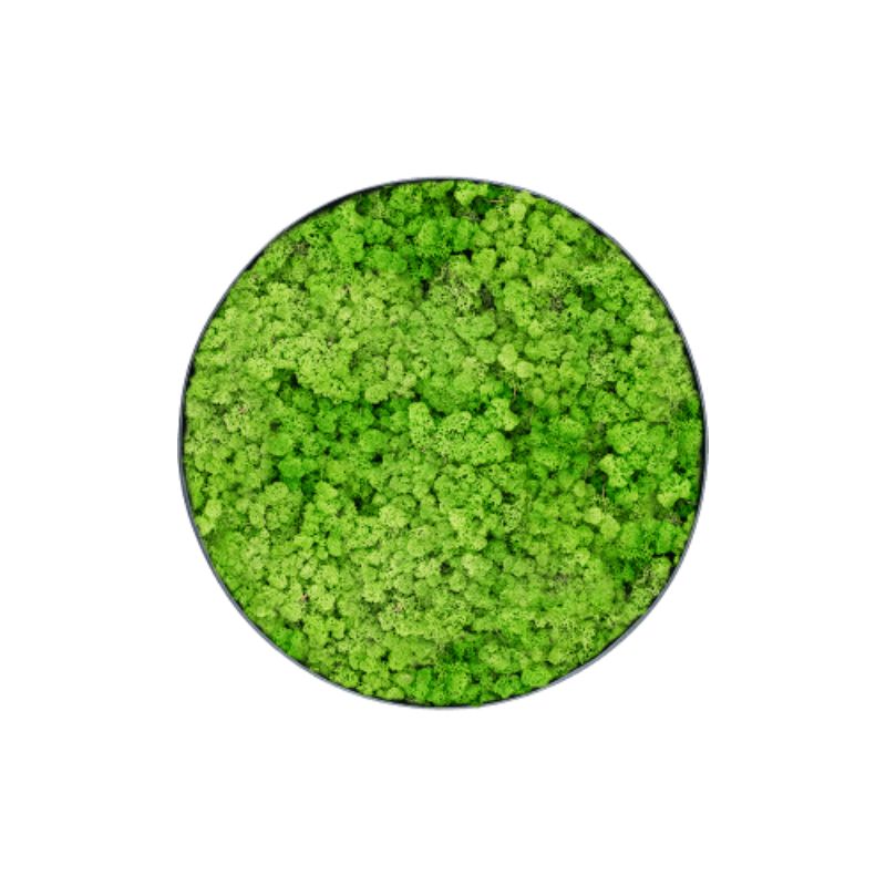 MuffleMoss | Circle Wall Panel - Reindeer